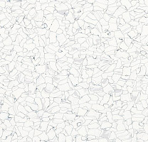 Кварцвиниловые полы Forbo Colorex EC Plus 621001 фото 1 | FLOORDEALER